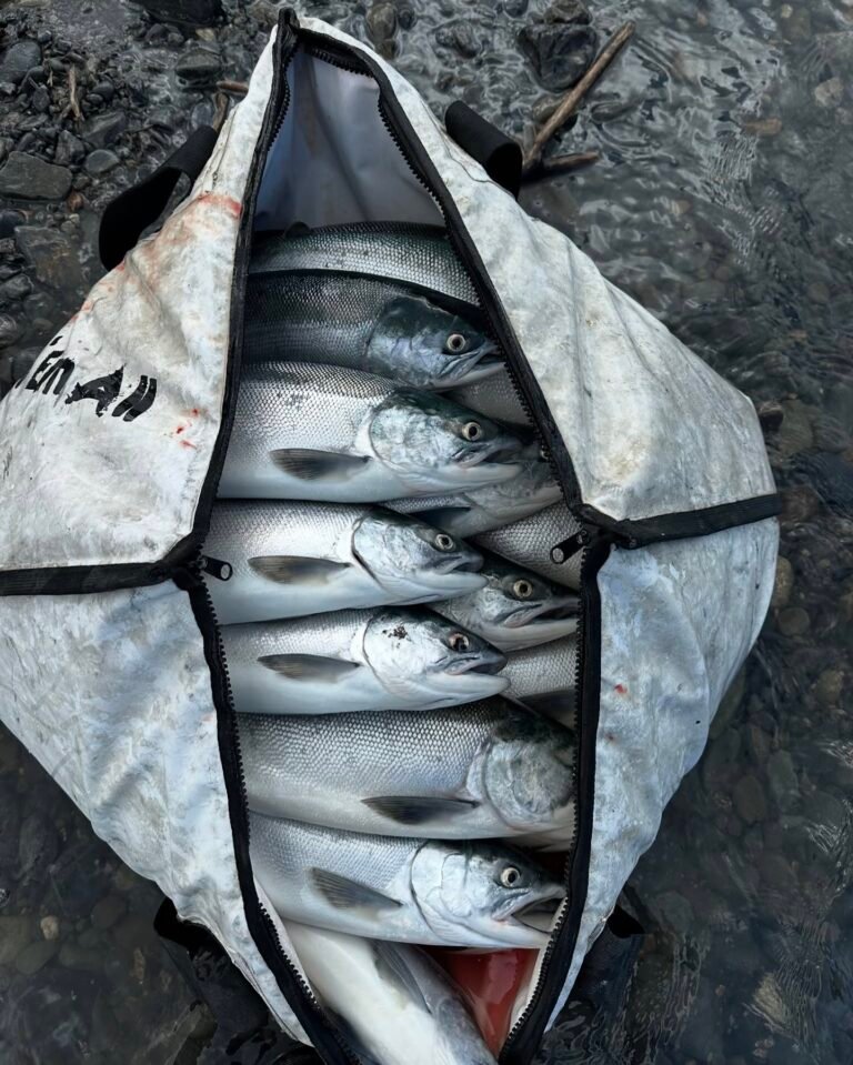 453735792 18359966821109335 7016552071165088055 n