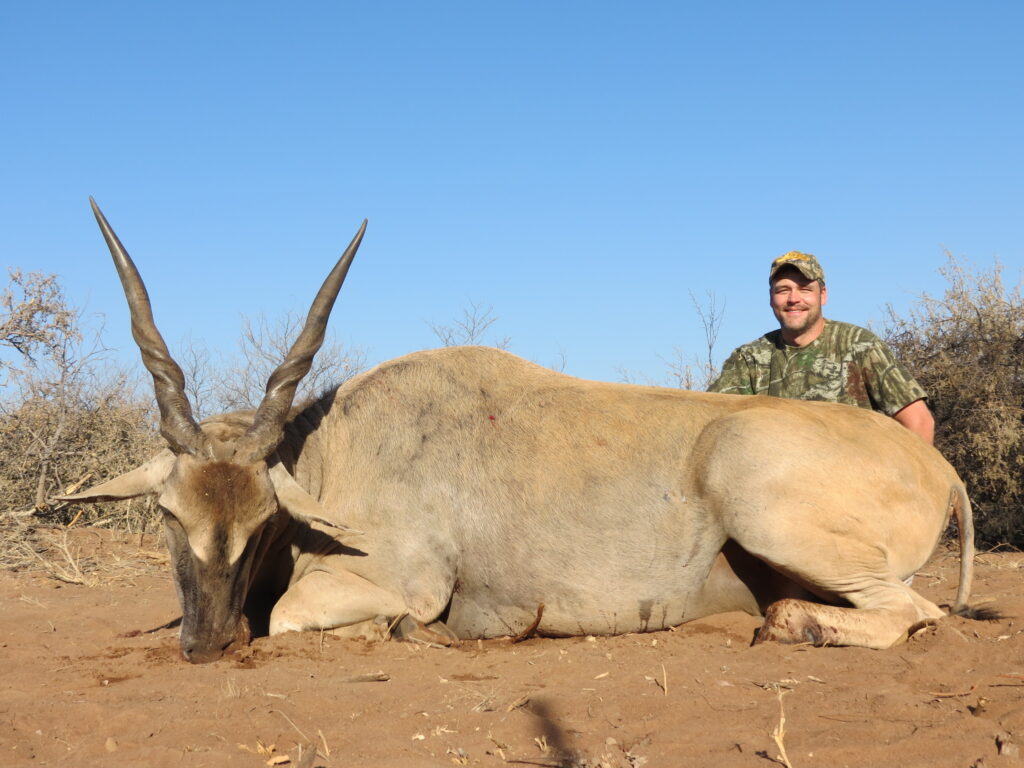 Eland of South Africa