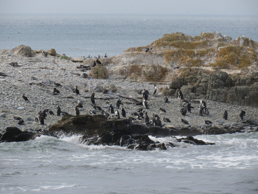 Boulder Beach