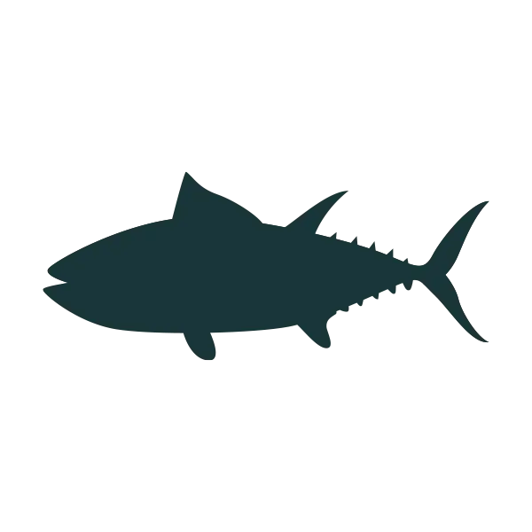 tuna