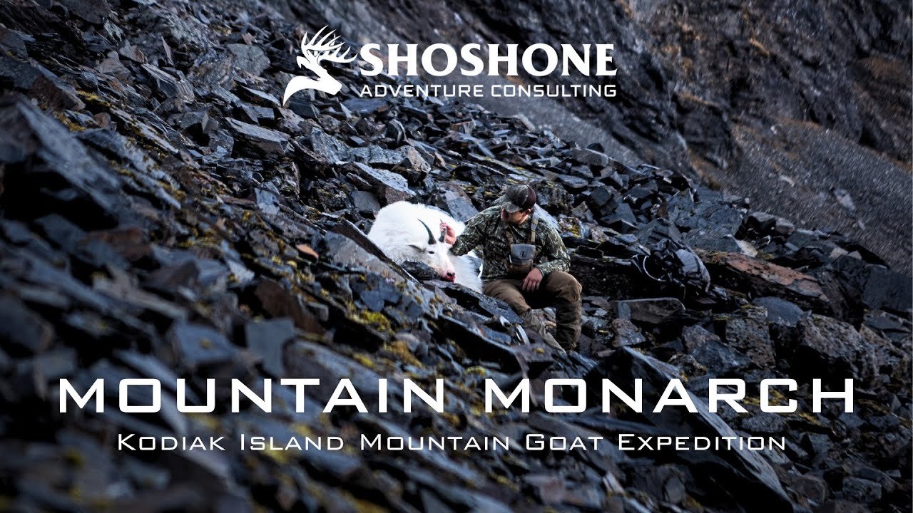 Mountain Monarch