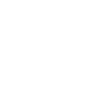 shoshone antlers