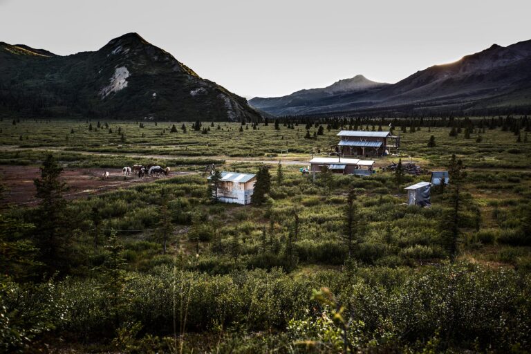Alaska – Talkeetna Range Grizzly Bear Hunt