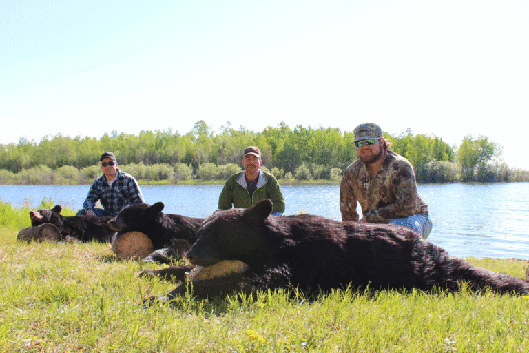 Saskatchewan – Spring Black Bear Cast & Blast Hunt