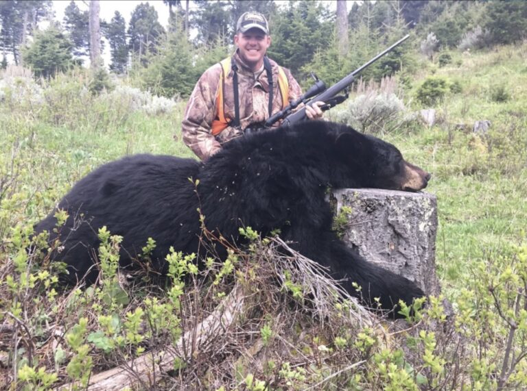 Montana – Spring Black Bear Hunt (White Sulpher Springs)