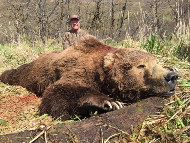 Alaska – Coastal Brown Bear and Blacktail Hunt