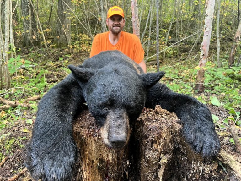 Ontario – Fall Black Bear Cast & Blast
