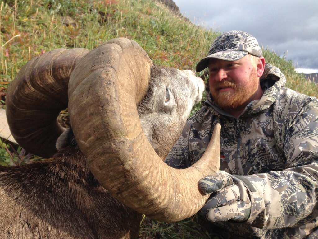 67bcca97a03810fe222af120 summit bighorns alberta canada bighorn sheep premiere outfitter guide service 0330