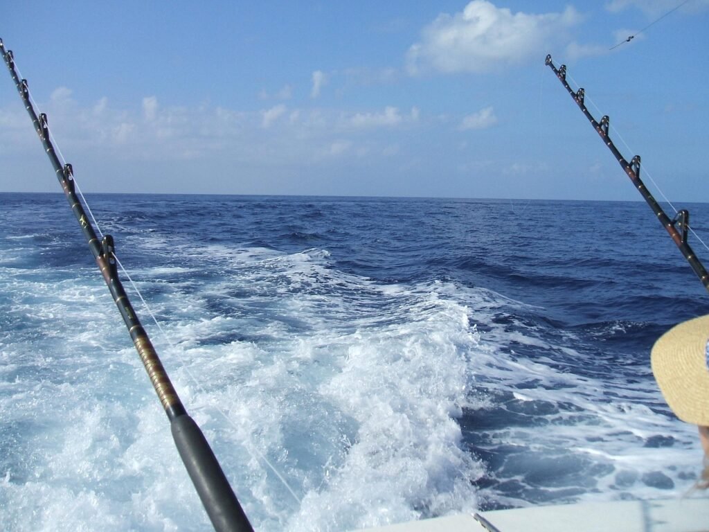 fishing, deep sea fishing, hawaii, holiday, travel, marine, marlin, vacation, beach, fish, ocean, sea, ship, rod, nature, catch, hilo, maui, oahu, leisure, water, reel, recreation, hobby, sport, activity, outdoor, lure, line, casting, boat, marlin, marlin, marlin, marlin, marlin