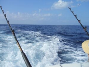 fishing, deep sea fishing, hawaii, holiday, travel, marine, marlin, vacation, beach, fish, ocean, sea, ship, rod, nature, catch, hilo, maui, oahu, leisure, water, reel, recreation, hobby, sport, activity, outdoor, lure, line, casting, boat, marlin, marlin, marlin, marlin, marlin
