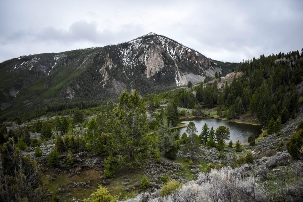 mountain, lake, yellowstone, wyoming, outdoor, trees, nature, water, landscape, mountain, yellowstone, yellowstone, wyoming, wyoming, nature, nature, nature, nature, nature, landscape