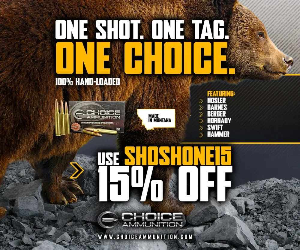 Choice Ad Nov 300x250